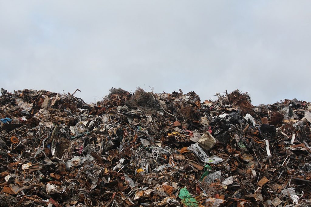 Finding Worth in Waste