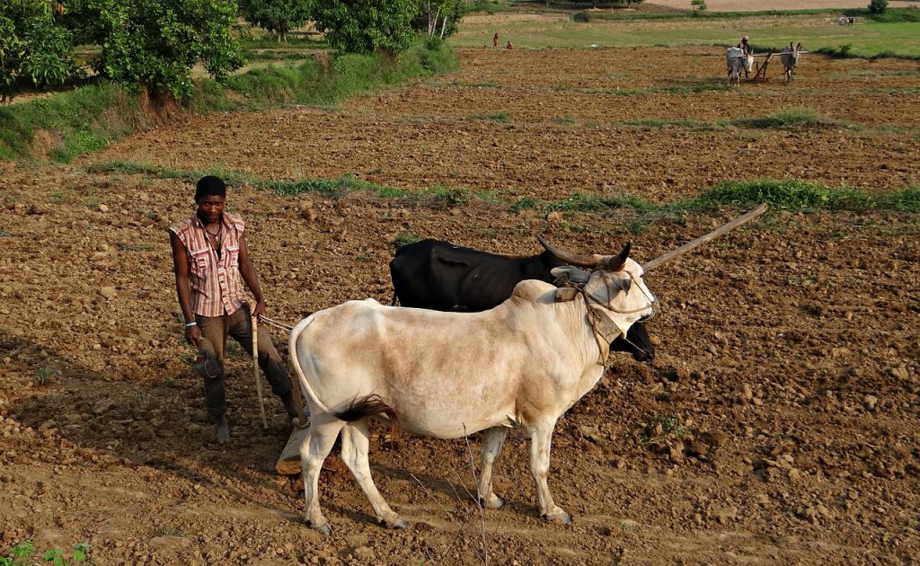 बीमार फ़सल बीमा योजना