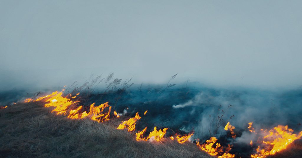 Stubble Burning in Haryana