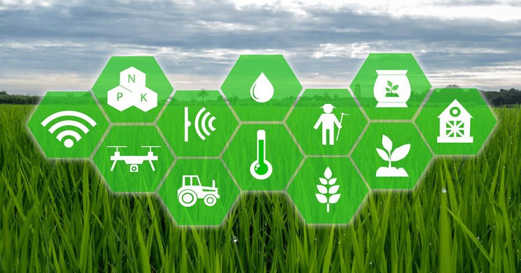 Artificial Intelligence in Indian Agriculture