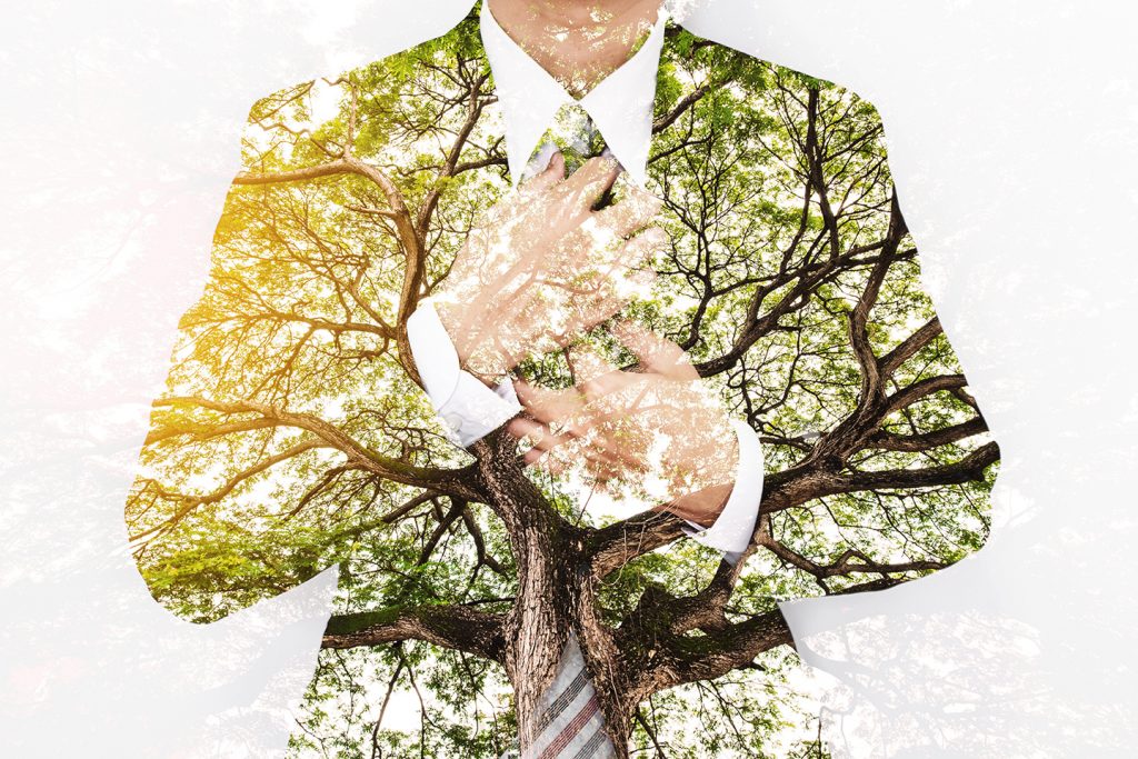 Revisiting Fashion and Sustainability: A Holistic Perspective
